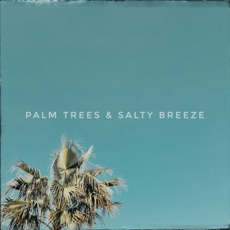 Palm Trees & Salty Breeze | Boomplay Music