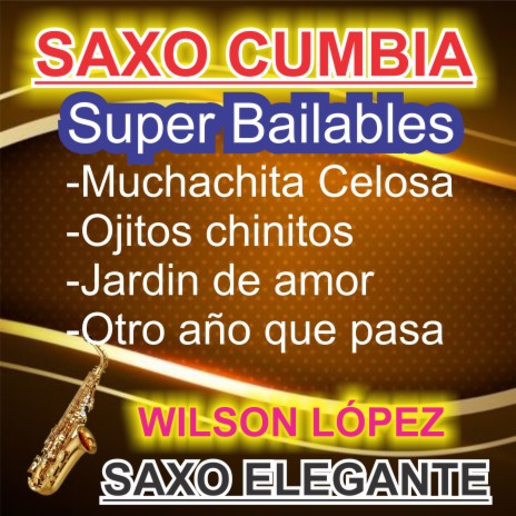 Saxo Cumbia/Super bailables/Muchachita celosa/Ojitos hechiceros/Jardín de amor/Otro año que pasa | Boomplay Music