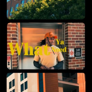 What ya need lyrics | Boomplay Music