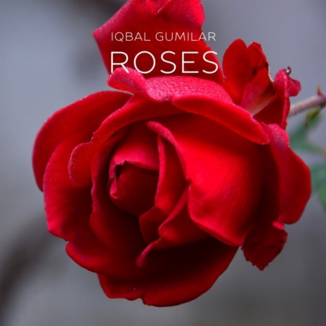 Roses (Acoustic Guitar) | Boomplay Music