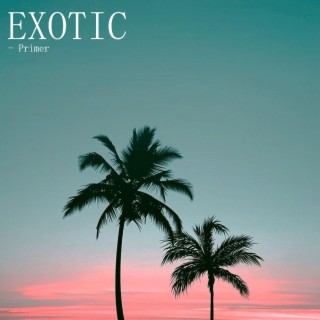 EXOTIC