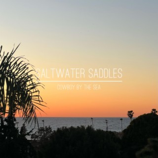 Saltwater Saddles