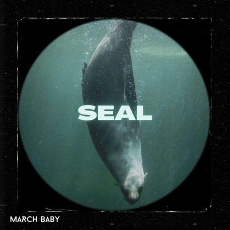 Seal | Boomplay Music