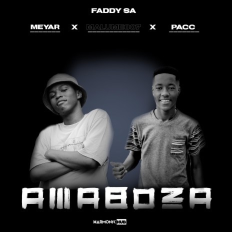 AmaBoza ft. Meyar, Malume007 & Pacc | Boomplay Music