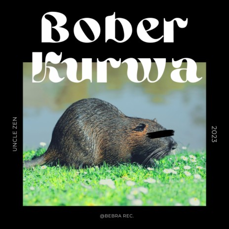 Bober Kurwa | Boomplay Music