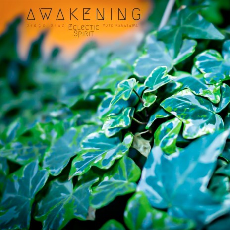 Awakening, Pt. 2 ft. Diego Diaz & Eclectic Spirit