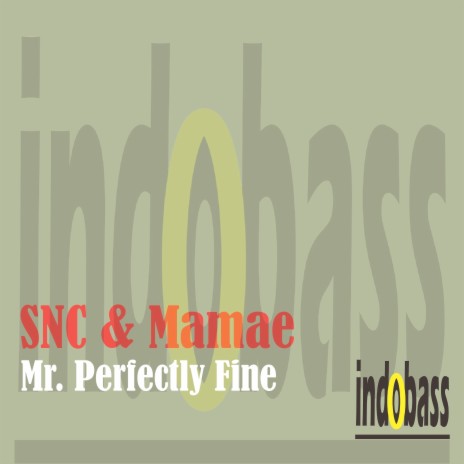 Mr. Perfectly Fine ft. Mamae | Boomplay Music