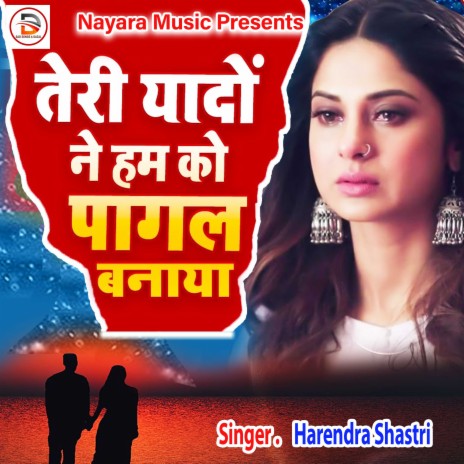 Teri Yadoon Ne Humko Pagal Banaya (Hindi) | Boomplay Music