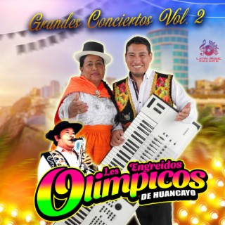 Grandes Conciertos Vol. 2