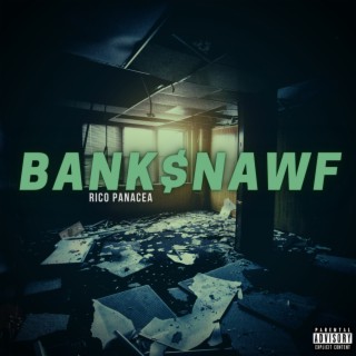Checks and Deposits: BANK$NAWF