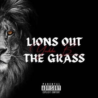 Lions Out The Grass