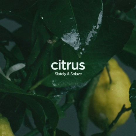 Citrus ft. Solaze