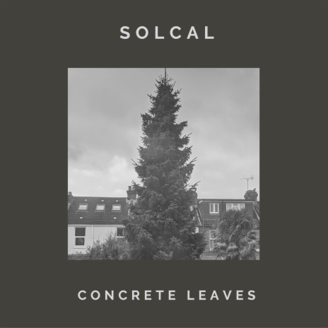 Concrete Leaves | Boomplay Music