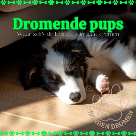 Dromende pups