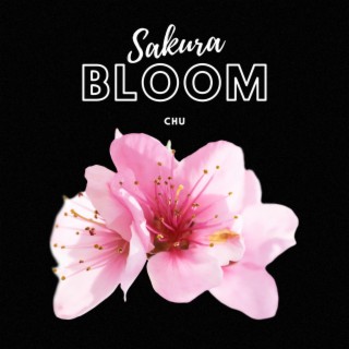 SAKURA BLOOM