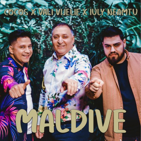 Maldive ft. Vali Vijelie, Iuly Neamtu & Manele Mentolate | Boomplay Music