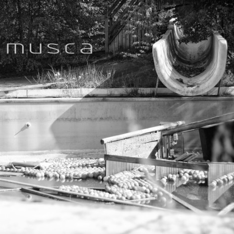 musca | Boomplay Music