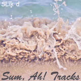 Sum, Ah! Tracks