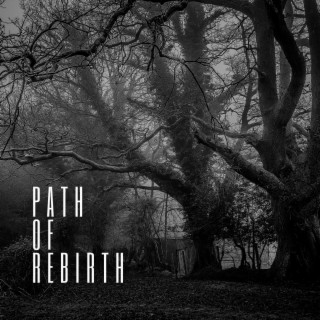Path Of Rebirth