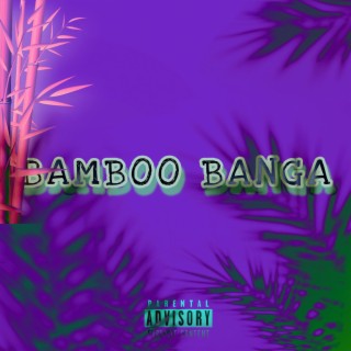 Sir Bamboo Banga