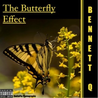 The Butterfly Effect