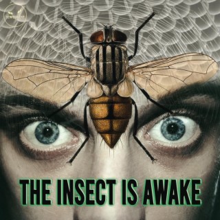 The Insect Is Awake