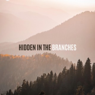 Hidden In The Branches
