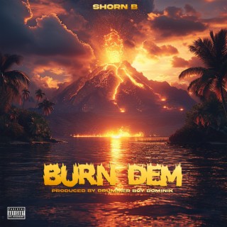 burn dem lyrics | Boomplay Music