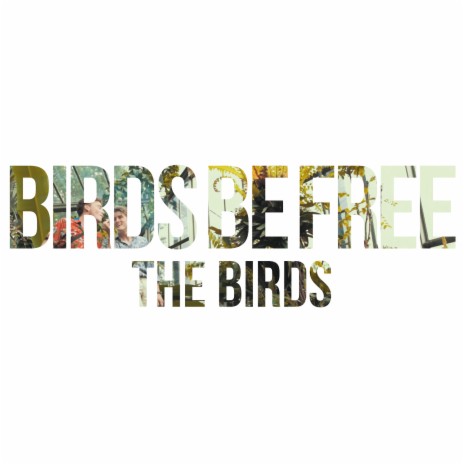 Birds Be Free | Boomplay Music