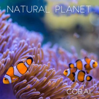 Natural Planet - Coral