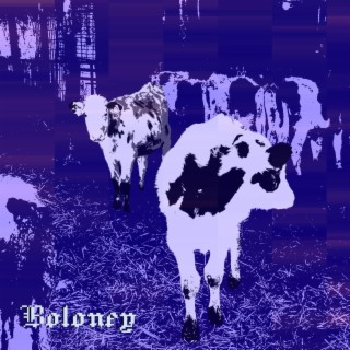 Boloney