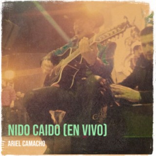 Nido Caido (En Vivo)