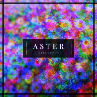 Aster (Intrumental)