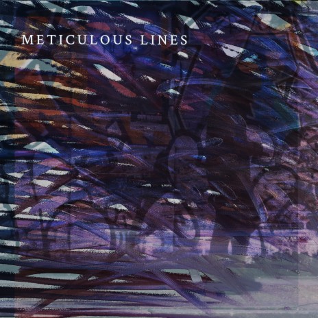 Meticulous Lines ft. Malik Ameer | Boomplay Music