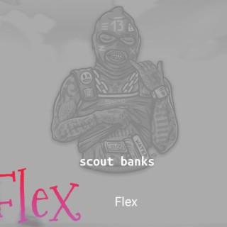 FLEX