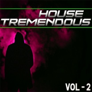 House Tremendous, Vol. 2 - Selected House Music for You