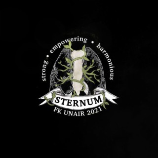 STERNUM FK UA