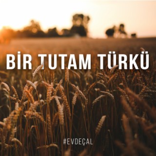 Eklemedir Koca Konak (Akustik) lyrics | Boomplay Music