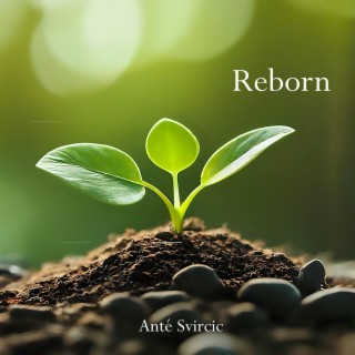 Reborn