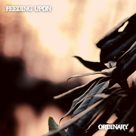 Ordinary | Boomplay Music