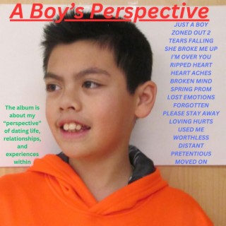 A BOY'S PERSPECTIVE