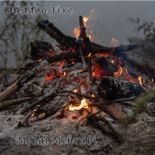 Hidden Fire