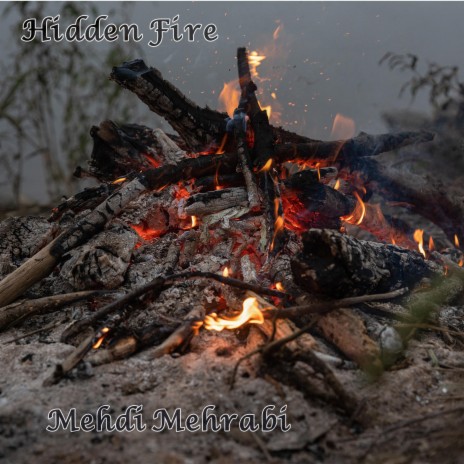 Hidden Fire | Boomplay Music