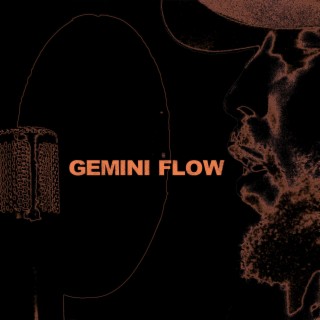 GEMINI FLOW