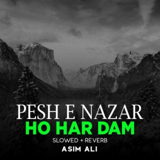 Pesh e Nazar Ho Har Dam Lofi