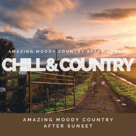 You Didn't ft. Country Music & Country Music Masters | Boomplay Music