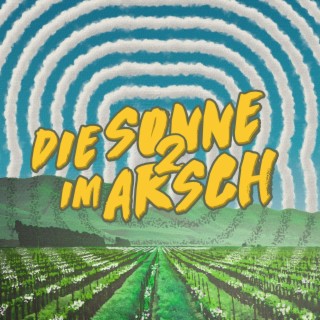 Die Sonne im Arsch II