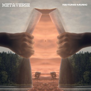 Metaverse