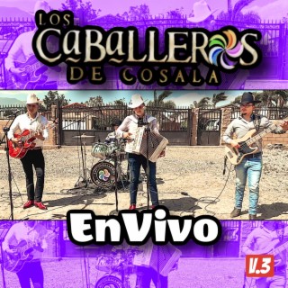 Los Caballeros de Cosala