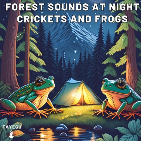 Forest Sounds at Night Crickets and Frogs Camping 1 Hour Relaxing Nature Ambient Yoga Meditation Sounds For Sleeping Relaxation or Studying